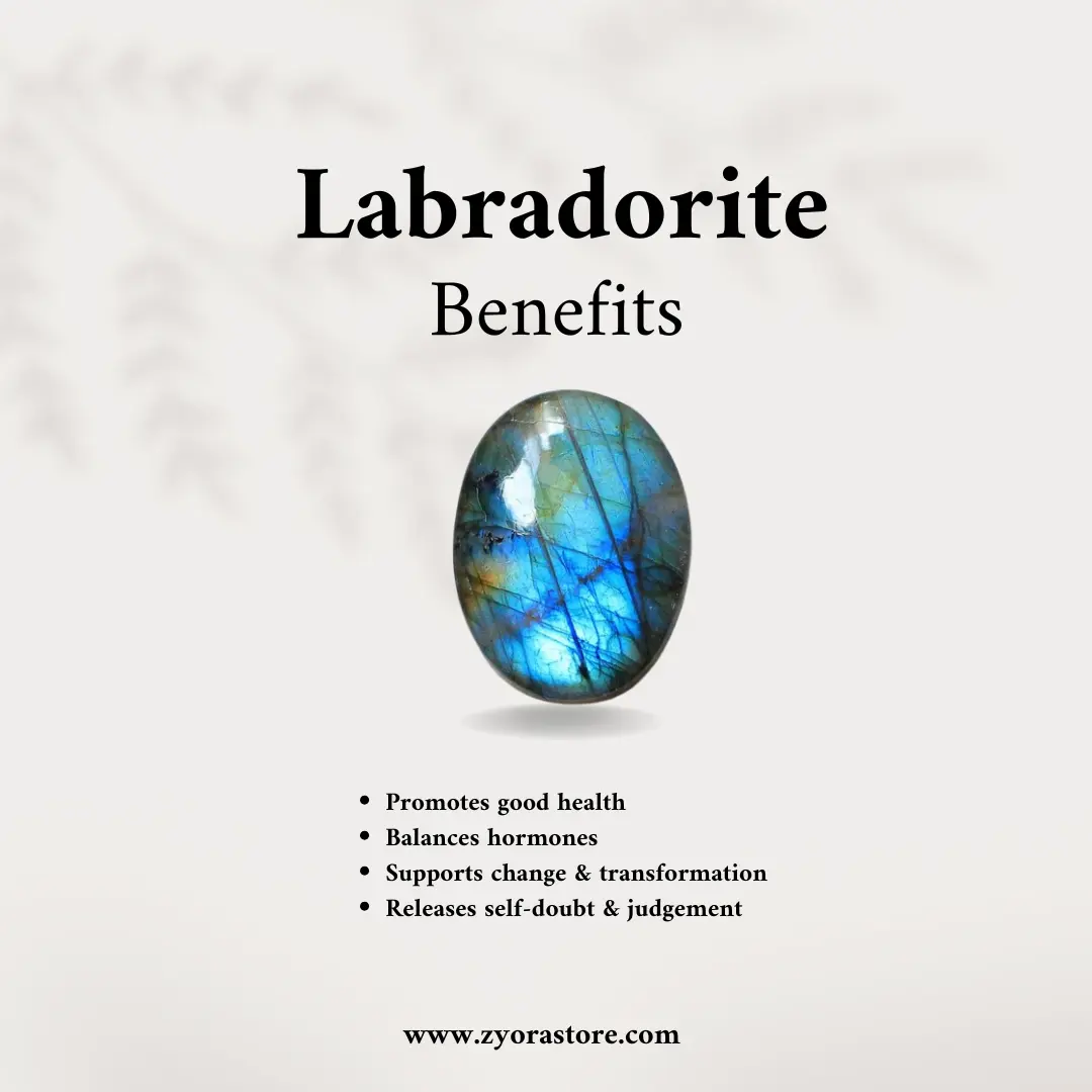 Labradorite Gold-Tone Stud Earrings - ZyoraStore