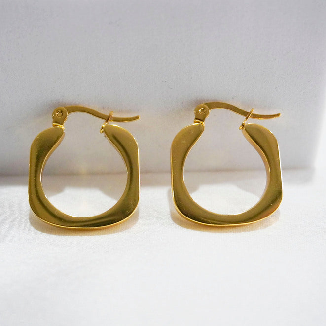 Sculpted Gold Hoops  Earrings